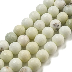 галька с  росписью Натуральные дендритные нити из бисера яшмы, (128 грани)граненый, круглые, круглые, 10 мм, отверстие : 1.2 мм, около 37 шт / нитка, 14.96 дюйм (38 см)