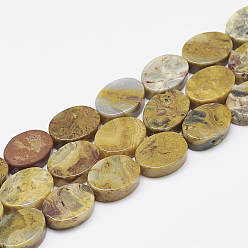 Сумасшедший Агат Натуральные сумасшедшие кружевные агатовые бусины, овальные, 14~15x10~11x5 мм, отверстие : 1 мм, около 28 шт / нитка, 15.3 дюйм ~ 16.1 дюйм