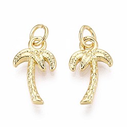 Настоящее золото 16K Латунные подвески, кокосовая пальма, с целью перехода в кольце, реальный 16 k позолоченный, 15.5~16x9x2 мм, отверстие : 3 мм