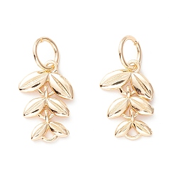 Настоящее золото 14K Латунные подвески, с целью перехода в кольце, долговечный, стойки покрытие, без кадмия и без свинца, лист, реальный 14 k позолоченный, 15x10x1.5 мм, отверстие : 4.4 мм