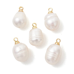 Белый Подвески из натурального пресноводного жемчуга, Подвески Ricel с латунными креплениями, золотые, белые, 13~15x8.5~9 мм, отверстие : 1.6 мм