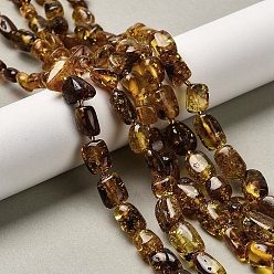 Янтарный Янтарные шарики нити, самородки, с бисером, упавший камень, 7~12.5x6.5~10x4.5~7 мм, отверстие : 0.6 мм, около 25~30 шт / нитка, 14.76~15.16 дюйм (37.5~38.5 см)