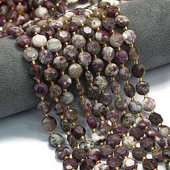 Турмалин Натуральный сливовый цвет турмалиновый бисер пряди, граненый шестиугольный разрез, плоско-круглые, с бисером, 10~10.5x6 мм, отверстие : 1 мм, около 31~32 шт / нитка, 15.35''~15.55'' (39~39.5 см)