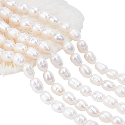 Seashell Color 5 Strands Natural Cultured Freshwater Pearl Beads Strands, Rice, Seashell Color, 7~9x6~7mm, Hole: 0.7mm, about 20~23pcs/Strand, 7.48 inch(19cm)