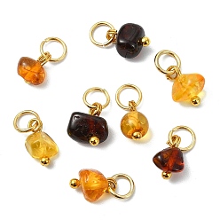 Золотой Подвески из натурального янтаря, самородки прелести, с 304 кольцами из нержавеющей стали, золотые, 7~9x5~7.5x4.5~5 мм, отверстие : 3.5 мм