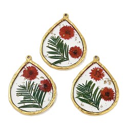 Настоящее золото 18K Ионное покрытие (ip) 304 подвески из нержавеющей стали, с эпоксидной смолой и сухоцветами, слеза, реальный 18 k позолоченный, 42x32x2.5 мм, отверстие : 1.4 мм