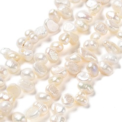 PeachPuff Natural Keshi Pearl Beads Strands, Cultured Freshwater Pearl, Grade 3A, Two Sides Polished, Baroque Pearls, PeachPuff, 6~8x4~5x3~4.5mm, Hole: 0.2mm, about 71pcs/strand, 13.58 inch(34.5cm)