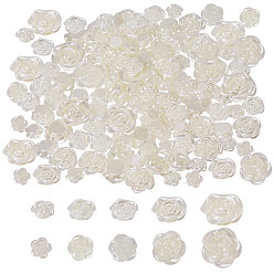 Blumenweiß 256Stück 5Stile undurchsichtige Harzperlen, Kamelie, Blumenweiß, 12~23x12~23.5x5~9 mm, Bohrung: 1.6~3 mm