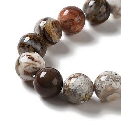 Mexican Agate Natural Mexican Agate Beads Strands, Round, 10mm, Hole: 1mm, about 39pcs/strand, 15.35''(39cm)