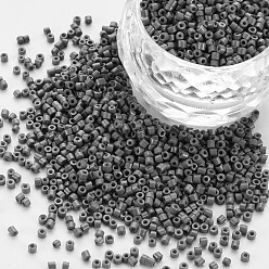 Grau Glaszylinderperlen, Perlen, Backen Farbe, Rundloch, Grau, 1.5~2x1~2 mm, Bohrung: 0.8 mm, ca. 45000 Stk. / Beutel, ungefähr 1Pfund/Beutel