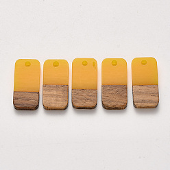Золотистый Подвески из смолы и ореха, воском, прямоугольные, золотые, 20.5x10x3~4 мм, отверстие : 2 мм