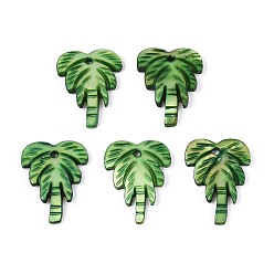 Морско-зеленый Резные подвески из натуральных пресноводных ракушек, очарование кокосового дерева, окрашенные, цвета морской волны, 18~21x14.5~15.5x1.5~2.5 мм, отверстие : 1.5 мм