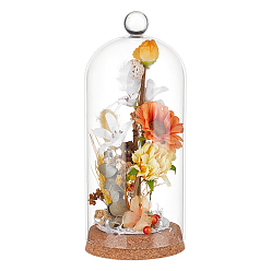 Прозрачный Стеклянный купол, декоративная витрина, Террариум в форме колокольчика с пробковым основанием, арка, прозрачные, 215x91 мм