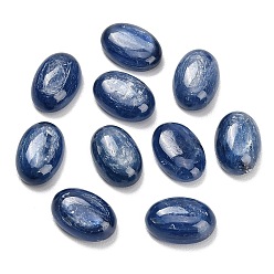 Кианит Натуральный кианитовые кабошоны, плоский зад, овальные, 15~16x11x5~6.5 мм