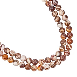 Natural Agate Natural Australian Agate Round Bead Strands, 8mm, Hole: 1mm, about 49pcs/strand, 15.7 inch, 2strands/box