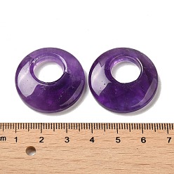 Amethyst Natural Amethyst Pendants, Donut/Pi Disc Charms, 27.5~28x4.5~5.5mm