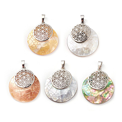Mixed Shell Natural Mixed Shell Pendants, with Platinum Tone Brass Findings, Flat Round with Flower of Life/Sacred Geometry, 32~32.5x28x7~7.5mm, Hole: 5x8mm