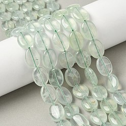 Пренит Природные пренит нитей бисера, Плоско-овальные, 16x12~12.5x5.5~6 мм, отверстие : 1.2 мм, около 25 шт / нитка, 15.75 дюйм (40 см)