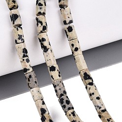 Dalmatian Jasper Natural Dalmatian Jasper Beads Strands, Hexagonal Prism, 5~7.5x3.5~4.5mm, Hole: 0.6~0.8mm, about 57~64pcs/strand, 14.76~15.55 inch(37.5~39.5cm)