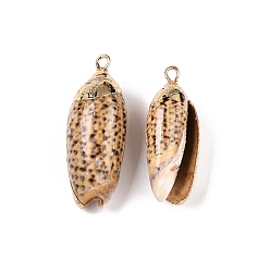 Кокосово-Коричневый Подвески натурального морских раковин, подвески в форме ракушек с золотистыми железными петлями, кокосового коричневый, 20~39x7~15x7~13 мм, отверстие : 1.2~1.8 мм