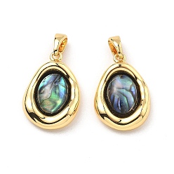 Настоящее золото 18K Подвески из латуни из натуральных ракушек паве, овальные амулеты, реальный 18 k позолоченный, 18.5x13x4 мм, отверстие : 4x3 мм