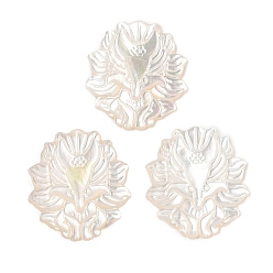 Белый Резные кабошоны из натуральной белой ракушки, Девятихвостый лис, белые, 21.5x19x3.5 мм
