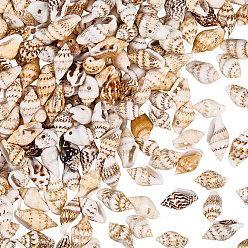 Цвет Древесины 165g подвески из натуральных ракушек, для изготовления ювелирных изделий, деревесиные, 13.5~18x7~9x5~8 мм, отверстие : 1.2~2.5 мм