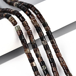 Биотит Природного биотита нитей бисера, колонка, 4~4.5x4.5~5 мм, отверстие : 1 мм, около 88~91 шт / нитка, 15.16~15.35'' (38.5~39 см)