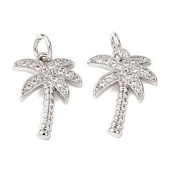 Платина Латунные микро проложить кубического циркония подвески, очарование кокосового дерева, платина, 14x10x1.5 мм, отверстие : 3 мм