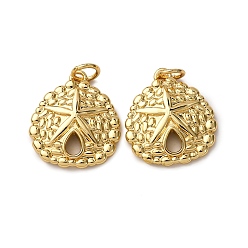 Морская звезда Латунные подвески, с целью перехода в кольце, стойки покрытие, долговечный, без свинца и без кадмия, реальный 18 k позолоченный, морская звезда, 18x16x3 мм, отверстие : 3.5 мм