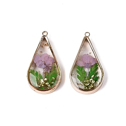 Plum Epoxy Resin Pendants, Teardrop & Dried Flower Charms, with Sequins & Glitter Powder & Light Gold Plated Brass Edge and Loop, Plum, 30.5x16x5~6mm, Hole: 1.6mm