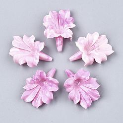Бледно-Розовый Синтетических коралловых бусин, окрашенные, цветок, розовый жемчуг, 31~32x23~24x9~10 мм, отверстие : 1 мм