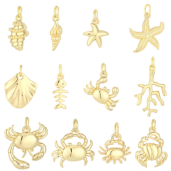 Mixed Shapes 12Stk 12 Stile Messinganhänger, Meerestiere Charms, cadmiumfrei und bleifrei, Gestell, langlebig überzogen, mit Sprungring, Mischformen, 10.5~17.5x11~16.5x3~3.5 mm, Bohrung: 3~3.5 mm, 1 Stück / Stil