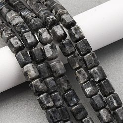 Larvikite Натуральные нити бус из ларвикита, шестиугольник призма, 10~11x9~10 мм, отверстие : 0.8 мм, около 39~40 шт / нитка, 15.16''~15.55'' (38.5~39.5 см)