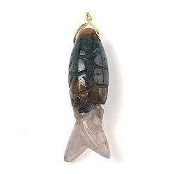 (RRHB277) Кристалл на подкладке из медово-бежевого цвета Резные подвески из натурального индийского агата, рыбные амулеты с латунной фурнитурой, золотые, 47x15x12 мм, отверстие : 1.6 мм