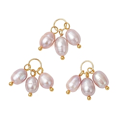 Лиловый Натуральный культивированный пресноводный жемчуг 3 рисовые амулеты, с 304 фурнитурой из нержавеющей стали, золотые, сирень, 12.5~13.5x5.5~6 мм, Перейти кольцо: 6x0.8 мм, внутренний диаметр: 5 мм