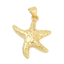 Настоящее золото 18K Латунные подвески, прелести морская звезда, без свинца и без кадмия, долговечный, стойки покрытие, реальный 18 k позолоченный, 23x21x3.5 мм, отверстие : 5x4 мм