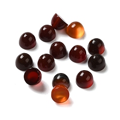 Coconut Brown Natural Agate Cabochons, Dyed & Heated, Half Round/Dome, Coconut Brown, 5x3.5mm