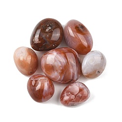 Натуральный Агат Природных бисера агат, обваленные камни, нет отверстий / незавершенного, самородки, 20~56x18~30.5x8~28 мм