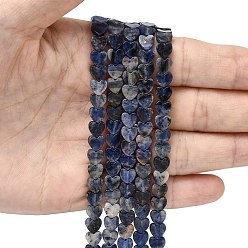 Содалитовое Природный содалит бисер нитей, сердце, 6x6x2 мм, отверстие : 0.7 мм, около 65~72 шт / нитка, 13.39'' (34 см) ~ 15.35'' (39 см)