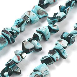 Голубой Окрашенные нити натуральных бусин-ракушек трохуса, самородки, голубой, 3~8x6~13x3~8 мм, отверстие : 1 мм, около 95 шт / нитка, 14.09'' (35.8 см)