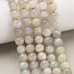 Grey Moonstone Натуральные серые бусины из лунного камня, гладкий круглый, 8 мм, отверстие : 0.9 мм, около 50 шт / нитка, 15.55'' (39.5 см)