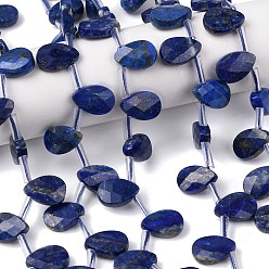 Ляпис-Лазурь Нитки бусины из натурального ляписа-лазури, Грановитая Teardrop, Топ пробуренной, с пластиковыми трубчатыми бусинами, 12~12.5x8~8.5x3.5~4 мм, отверстие : 1 мм, около 32 шт / нитка, 15.16'' (38.5 см)