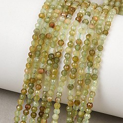 Гранат Естественный зеленый гранат бисер нитей, круглые, граненые, 2.5 мм, отверстие : 0.5 мм, около 181~182 шт / нитка, 15.67~15.83'' (39.8~40.2 см)