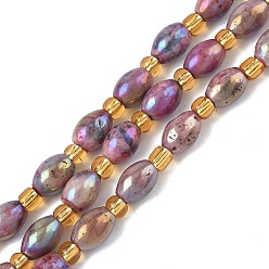 Ярко-Розовый Гальванические природные друзы геод, рис, с бисером, ярко-розовый, 8~9x6 мм, отверстие : 0.7~0.8 мм, около 18 шт / нитка, 7.76~7.95'' (19.7~20.2 см)