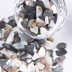 Black Black Lip Shell Beads, For Nail Art Decoration Accessories, No Hole/Undrilled, Chips, Black, 2~18x2~10x0.5~5mm, about 450g/bag