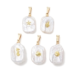 Mixed Shapes Подвески из натурального барочного жемчуга кеши, Прямоугольные подвески с морскими животными из сплава, белые, золотые, разнообразные, 19~24x12~13x4~6 мм, отверстие : 5x2 мм