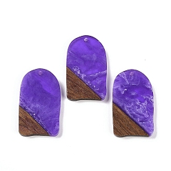 Сине-фиолетовый Подвески из смолы и дерева, арочные прелести, синий фиолетовый, 38x22.5x3.5 мм, отверстие : 2 мм