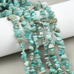 Амазонит Природных амазонит бисер нитей, чип, 6~11x5~9x3~7.5 мм, отверстие : 0.5 мм, 29.53'' (75 см)