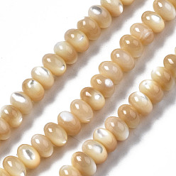 BurlyWood Natural Trochid Shell/Trochus Shell Beads Strands, Rondelle, BurlyWood, 6x4mm, Hole: 0.8mm, about 107~110pcs/strand, 15.75 inch(40cm)